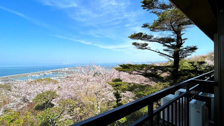 夕日の宿龍宮館(岬町)の部屋から大阪湾が見える様子