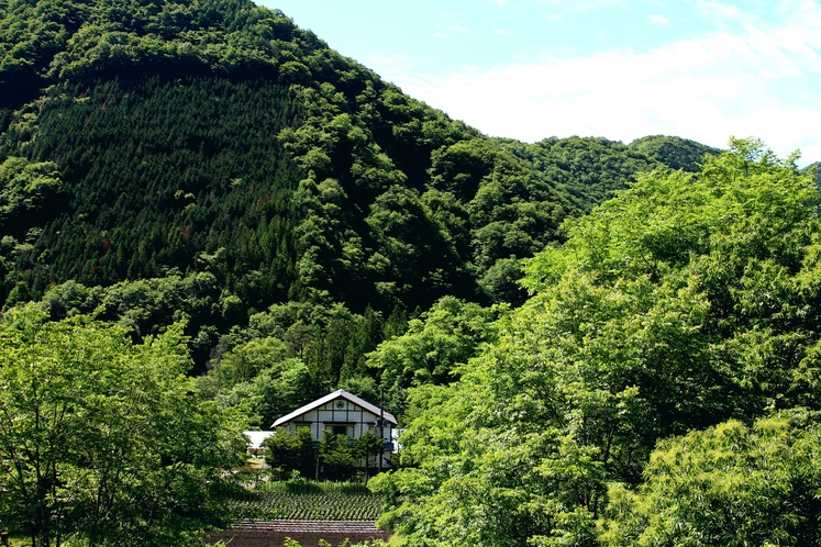 【栃木県】湯西川温泉 民宿やま久(日光市)外観
